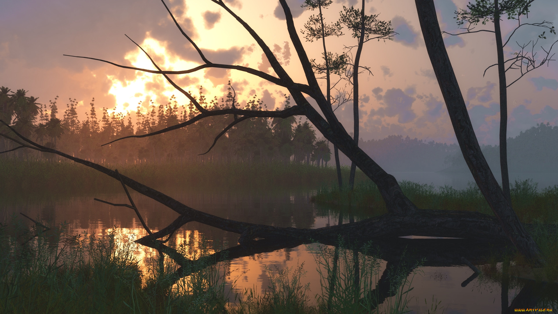 3 ,  , nature, , , , 
